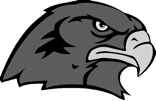 Mascot Head Falcon Hawk Xm7gti Clipart - Mascot Head Falcon Hawk Xm7gti Clipart - Free Transparent PNG Clipart Images Download. - Falcon Transparent PNG Free Download