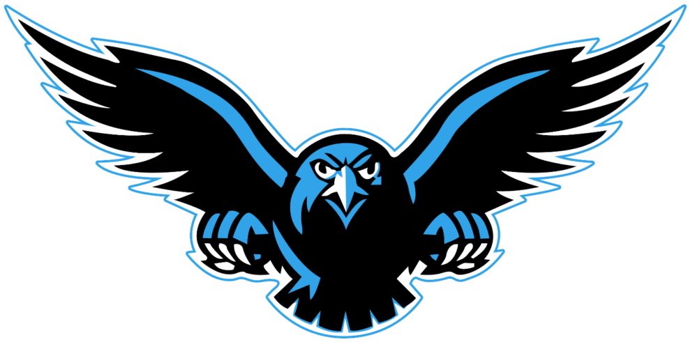 Transparent Background Peoplepng Com - Connellsville Falcons - Free Transparent PNG Clipart Images Download. - Falcon Transparent PNG Free Download