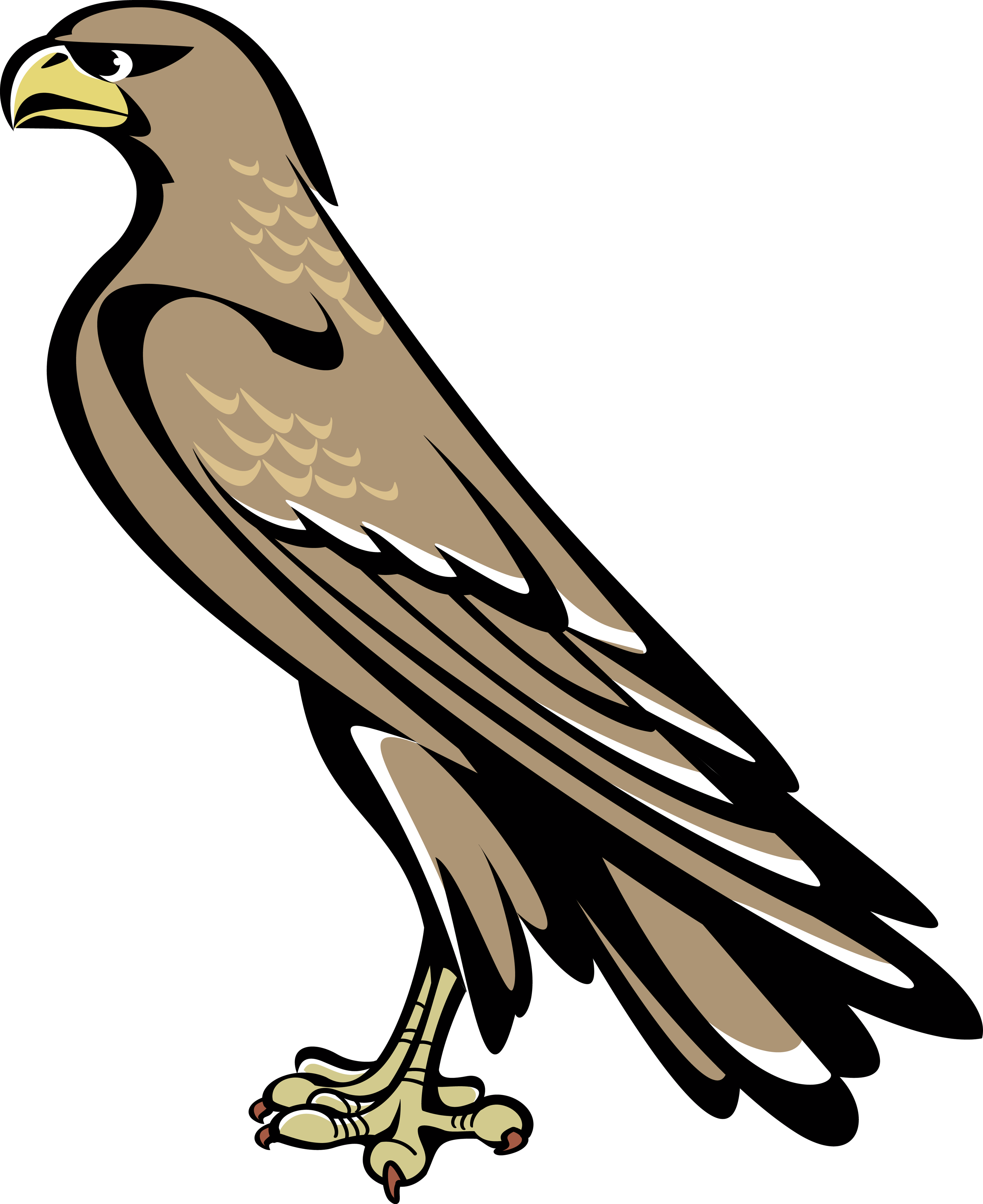 Falcon Clipart Coat Arm - Falcon Symbol Coat Of Arms - Free Transparent PNG Clipart Images Download. - Falcon Transparent PNG Free Download