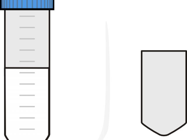 Falcon Clipart Svg - Falcon Clipart Svg - Free Transparent PNG Clipart Images Download. - Falcon PNG Falcon Clipart Svg - Falcon Clipart Svg - Free Transparent PNG Clipart Images Download. - Falcon Transparent PNG Free Download