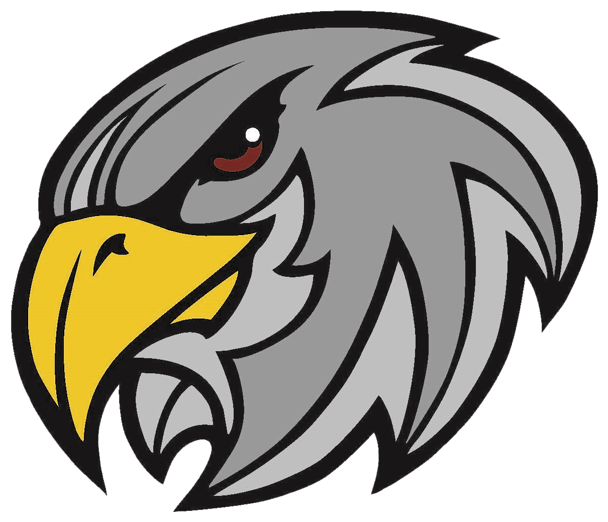Yeshivah Of Flatbush Falcons - Yeshivah Of Flatbush Falcons - Free Transparent PNG Clipart Images Download. - Falcon PNG Yeshivah Of Flatbush Falcons - Yeshivah Of Flatbush Falcons - Free Transparent PNG Clipart Images Download. - Falcon Transparent PNG Free Download