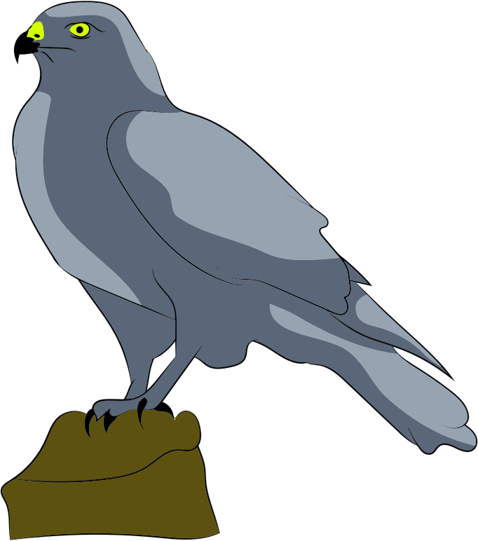 Falcon-clipart - Falcon-clipart - Free Transparent PNG Clipart Images Download. - Falcon Transparent PNG Free Download