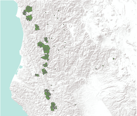 Northern California Peregrine Falcon Habitat - United States Of America Transparent PNG - 612x406 - Free Download on - Falcon Transparent PNG Free Download