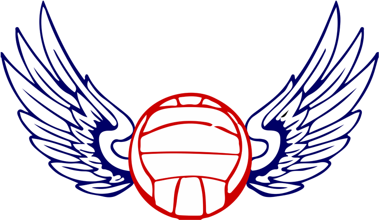 Volleyball Wings Falcon Logo, Volleyball, Wings, Ali - Volleyball Logo With Wings Png - Free Transparent PNG Clipart Images Download. - Falcon Transparent PNG Free Download