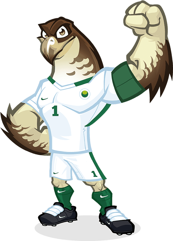 This Guy Is The Mascot Of The Saudi Arabian Football - Saudi Arabian Football Mascot - Free Transparent PNG Clipart Images Download. - Falcon Transparent PNG Free Download