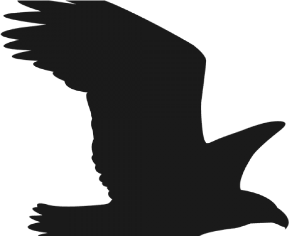 Falcon Clipart Svg - Сокол Силуэт - Free Transparent PNG Clipart Images Download. - Falcon PNG Falcon Clipart Svg - Сокол Силуэт - Free Transparent PNG Clipart Images Download. - Falcon Transparent PNG Free Download
