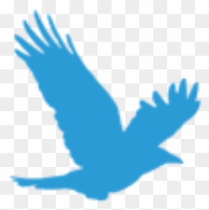 Bildung - Falcon - Free Transparent PNG Clipart Images Download. - Falcon Transparent PNG Free Download