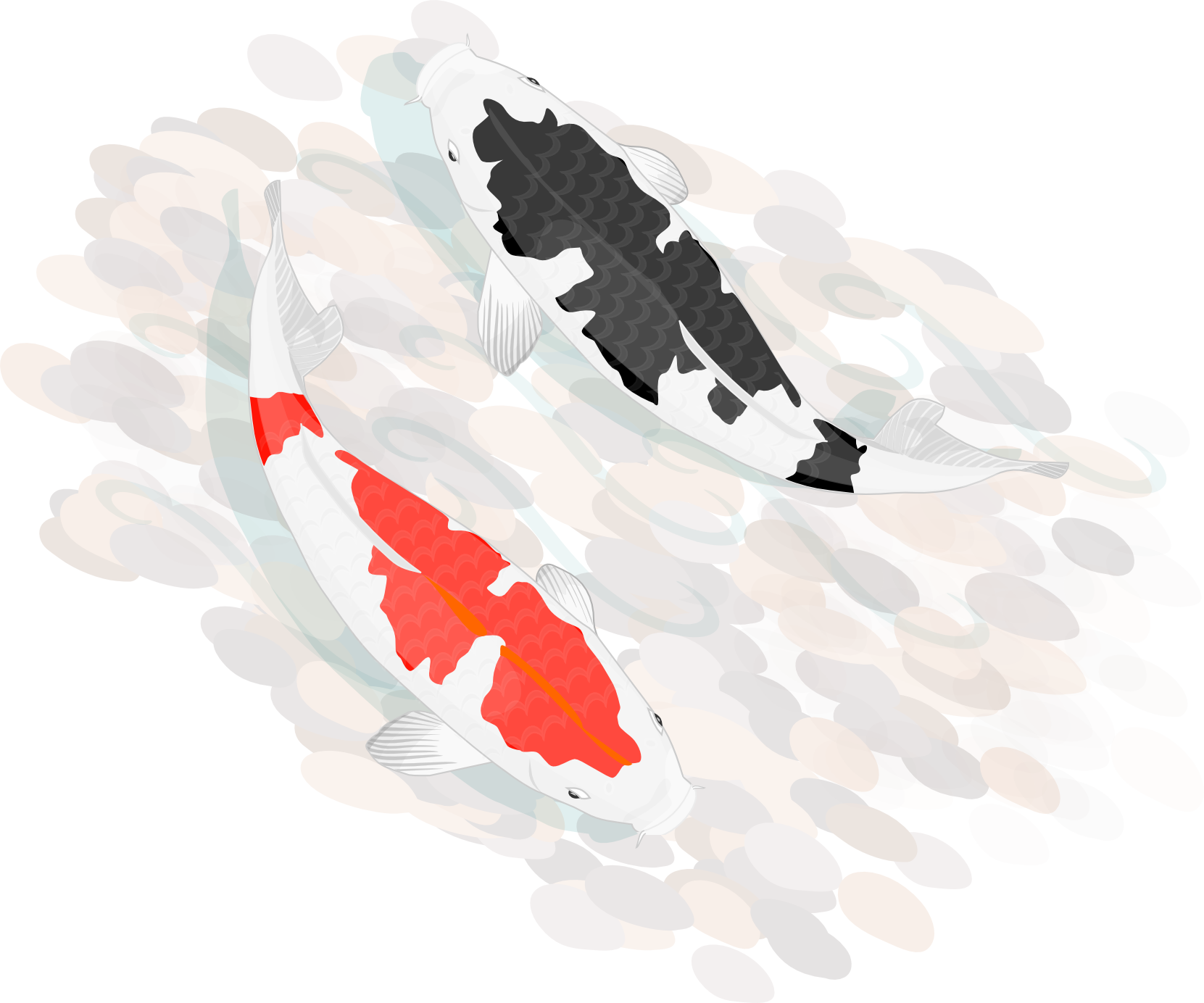 Koi Carp Clipart Transparent - Koi Fish Japanese Png Transparent PNG - 1661x1384 - Free Download on - Fish Transparent PNG Free Download