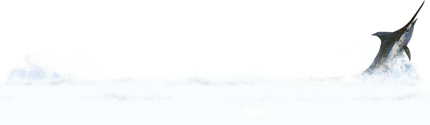 Gringo Fishing Services Based Out Of Venice, Louisiana - Darkness Transparent PNG - 1400x409 - Free Download on - Fish Transparent PNG Free Download