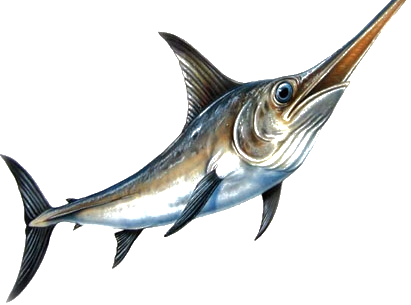 Site Logo - Deep Sea Fishing Png Transparent PNG - 411x305 - Free Download on - Fish Transparent PNG Free Download