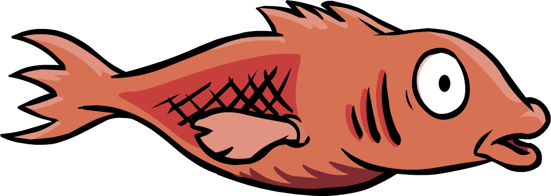 Ice Fishing Mullet - Red Mullet Fish Club Penguin Transparent PNG - 1118x398 - Free Download on - Fish Transparent PNG Free Download