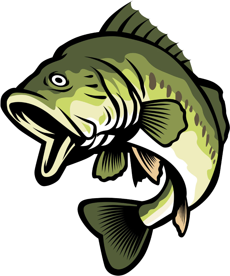 Picture Freeuse Library Bass Fish Clipart - Bass Clipart Transparent PNG - 835x1000 - Free Download on - Fish Transparent PNG Free Download