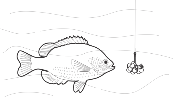 Black And White Fishing Bait Fishing Rods - Fish Fishing Rod Png Transparent PNG - 605x340 - Free Download on - Fish Transparent PNG Free Download