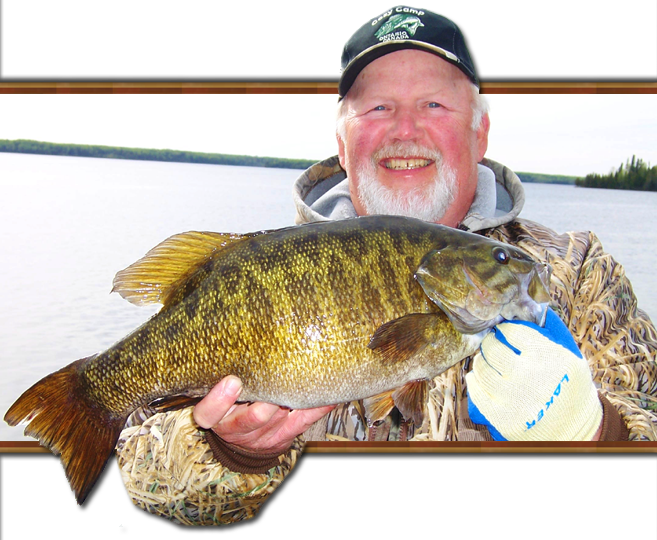 Smallmouth Bass Are Not The Dominant Species In The - Bass Fish Ontario Transparent PNG - 657x540 - Free Download on - Fish Transparent PNG Free Download