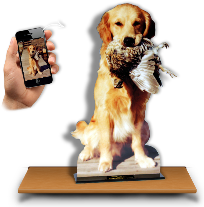 Hunting Dog Photo Cutout Trophy Photo Of Lasertrophy - Dog Catches Something Transparent PNG - 733x780 - Free Download on - Fish Transparent PNG Free Download