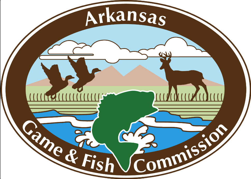Public Duck Hunting In Ne Arkansas - Arkansas Game And Fish Commission Transparent PNG - 969x691 - Free Download on - Fish Transparent PNG Free Download