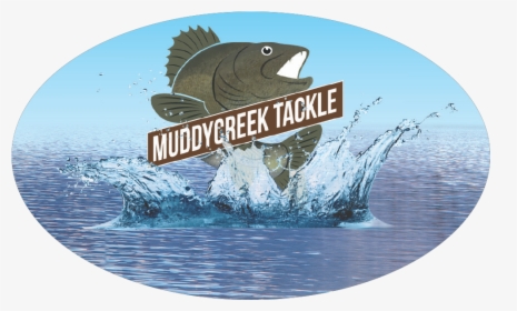 Transparent Bass Fish Png - Jigging, Png Download - Fish Transparent PNG Free Download