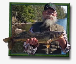 Walleye & Pike Fishing Tips For Lake Mattagami - Walleye Fishing Transparent PNG - 640x545 - Free Download on - Fish Transparent PNG Free Download