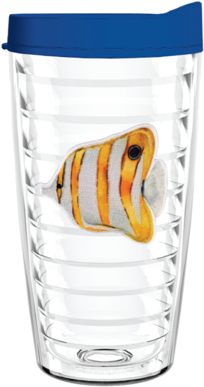 Angel Fish Watercolor Patch 16oz Tumbler - Usa Flag 16 Oz Insulated Tumbler With Blue Lid And Transparent PNG - 302x599 - Free Download on - Fish Transparent PNG Free Download