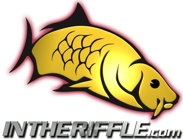 In The Riffle Carp Logo Fly Fishing - Fishing L Carp Ogo Transparent PNG - 600x456 - Free Download on - Fish Transparent PNG Free Download