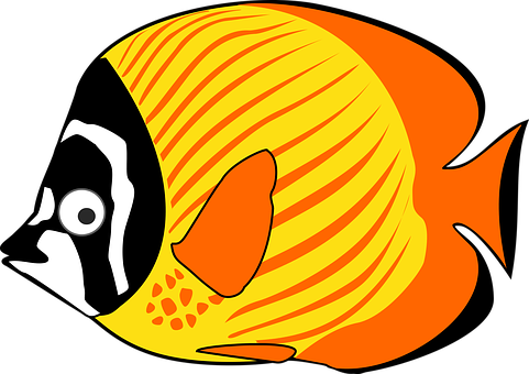 Cartoon Fish Sea Tropical Fish Fish Fish F - Cartoon Fish - Free Transparent PNG Clipart Images Download. - Fish Transparent PNG Free Download
