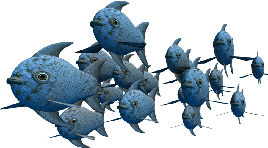 School Of Fish Png Photos - School Of Fish Png Transparent PNG - 900x695 - Free Download on - Fish Transparent PNG Free Download