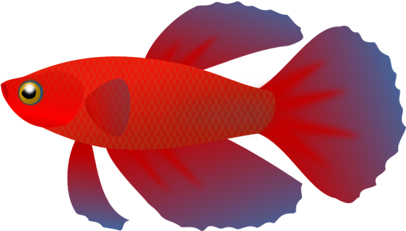 No Fish Cliparts Free Download Clip Art Free Clip Art - Fish Clip Art Transparent Background - Free Transparent PNG Clipart Images Download. - Fish Transparent PNG Free Download
