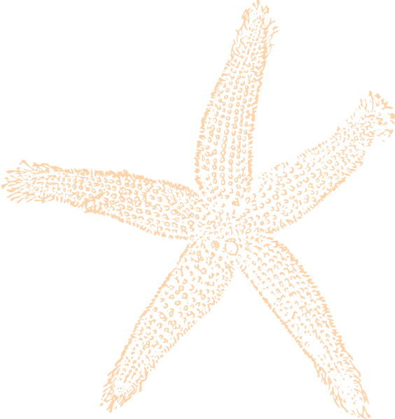 Fish Clip Art, HD Png Download - Fish PNG Fish Clip Art, HD Png Download - Fish Transparent PNG Free Download