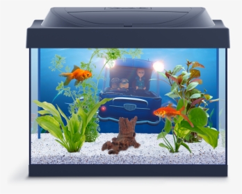 Aquarium Png, Transparent - Fish Transparent PNG Free Download