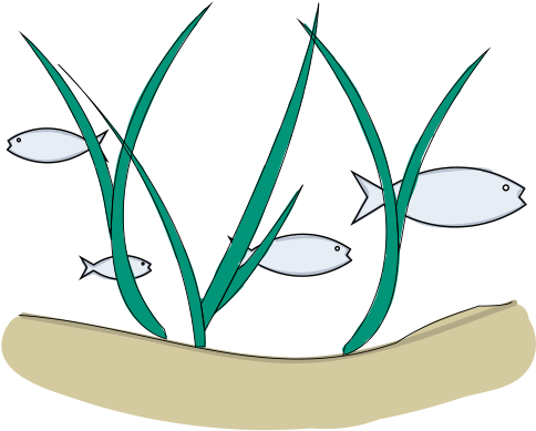 Many Of The World's Fish Catches Are Directly Or Indirectly - Icon Transparent PNG - 500x500 - Free Download on - Fish Transparent PNG Free Download