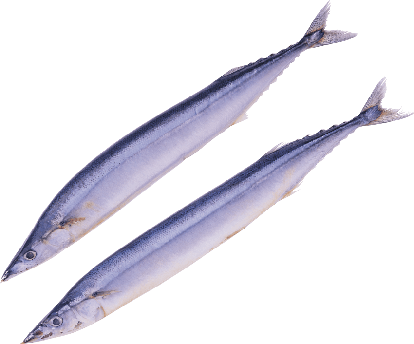 Free Png Fish Png Images Transparent - Importacion De América Del Norte Transparent PNG - 850x706 - Free Download on - Fish Transparent PNG Free Download