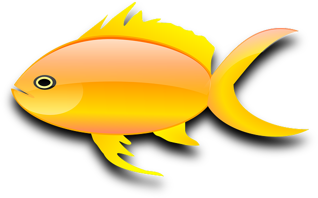 Goldfish Gold Fish Clip Art Black And White Free Clipart - Gold Fish Clip Art - Free Transparent PNG Clipart Images Download. - Fish Transparent PNG Free Download