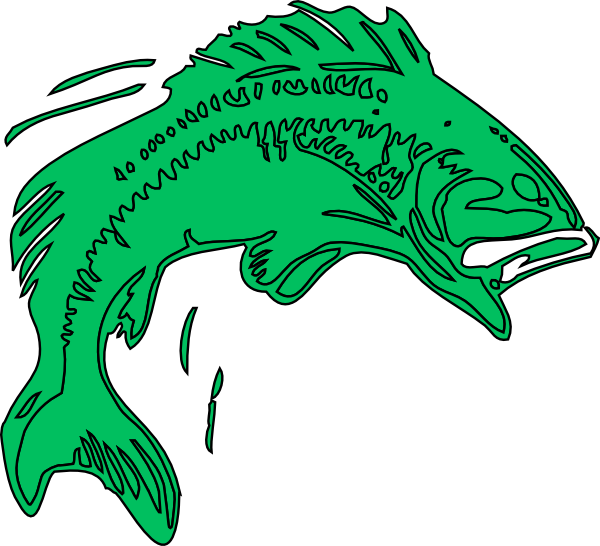 Bass Fish Clipart - Cartoon Bass Fish Png - Free Transparent PNG Clipart Images Download. - Fish Transparent PNG Free Download