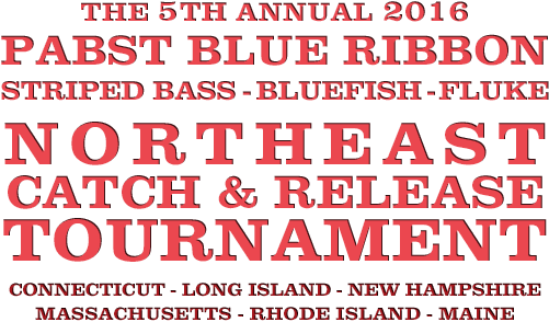 5th Annual Pbr Fishing Tournament Entirely Catch & - Love And Theft: Blackface Minstrelsy And The American Transparent PNG - 500x300 - Free Download on - Fish Transparent PNG Free Download