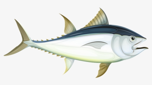 Fish, Sea, Tuna, Underwater, Water, Ocean, Animal - Fish In The Ocean Cartoons, HD Png Download - Fish Transparent PNG Free Download