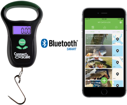 Want To Brag To Your Fishing Buddies The App Also Allows - Bluetooth Transparent PNG - 480x360 - Free Download on - Fish Transparent PNG Free Download