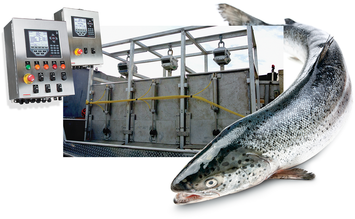 Commercial Fishing 920i Flexweigh - Commercial Fishing Transparent PNG - 1160x741 - Free Download on - Fish Transparent PNG Free Download