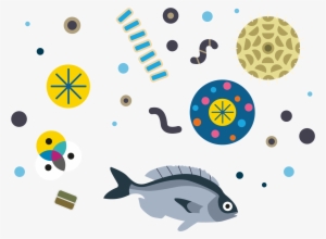 Fish And Plankton Illustration - Illustration Transparent PNG - 1500x1500 - Free Download on - Fish Transparent PNG Free Download