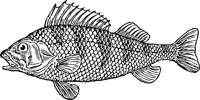 Svg Free Stock Water Cartoon Bass Fish Illustration - Fish Clipart Black And White Transparent PNG - 640x320 - Free Download on - Fish Transparent PNG Free Download
