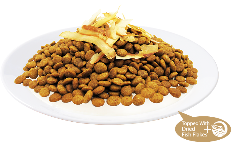 9 Health Benefits - Kit Cat Cat Food Fish Medley Transparent PNG - 880x586 - Free Download on - Fish Transparent PNG Free Download