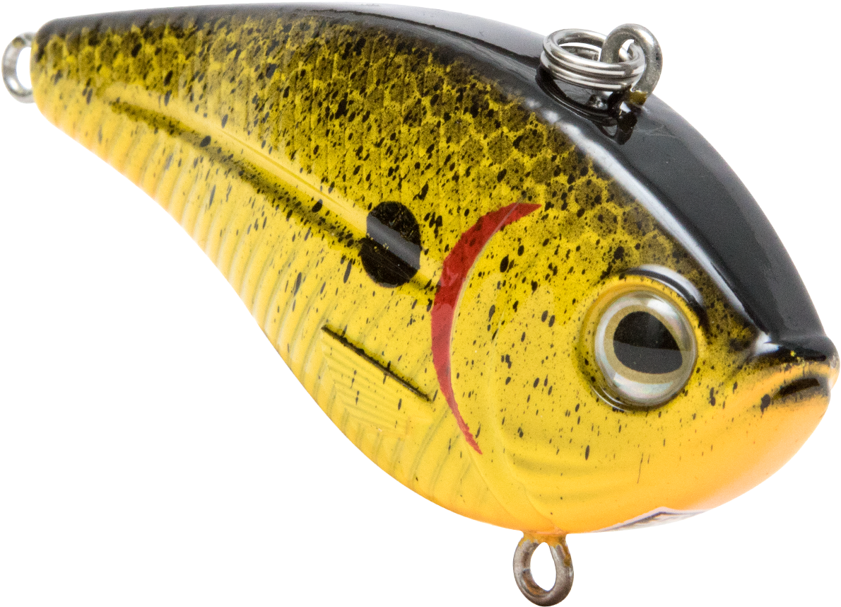 Swellfish, HD Png Download - Fish Transparent PNG Free Download