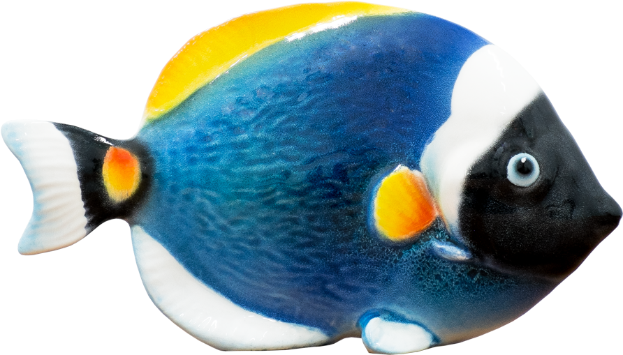 Llamativa Figura De Cerámica Italiana, Elaborada De - Coral Reef Fish Transparent PNG - 1140x530 - Free Download on - Fish Transparent PNG Free Download