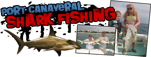 Port Canaveral Shark Fishing - Cocoa Beach Transparent PNG - 650x247 - Free Download on - Fish Transparent PNG Free Download