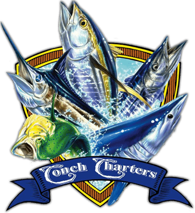 Fishing Guide Tours & Deep Sea Fishing In Key West, - Deep Sea Fishing Logo Transparent PNG - 390x426 - Free Download on - Fish Transparent PNG Free Download