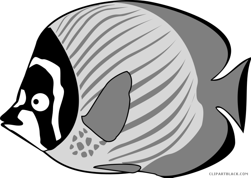Tropical Fish Animal Free Black White Clipart Images - Clipart Cartoon Fish - Free Transparent PNG Clipart Images Download. - Fish Transparent PNG Free Download