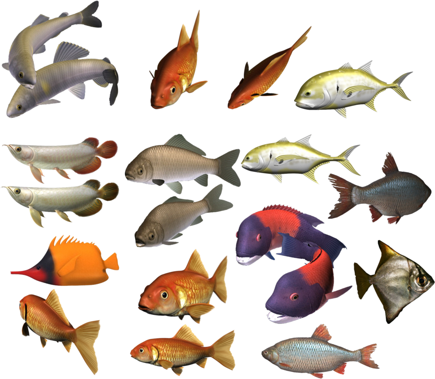 School Of Fish Png Image - School Of Fish Png Transparent PNG - 900x770 - Free Download on - Fish Transparent PNG Free Download