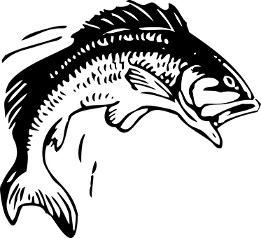 Fish Bass Lure Bait Angler Fin Fisherman T - Jumping Fish Clipart Transparent PNG - 373x340 - Free Download on - Fish Transparent PNG Free Download