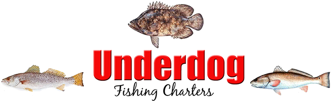 Dauphin Island And Mobile Al Fishing - Triple Tail Fish Transparent PNG - 655x201 - Free Download on - Fish Transparent PNG Free Download