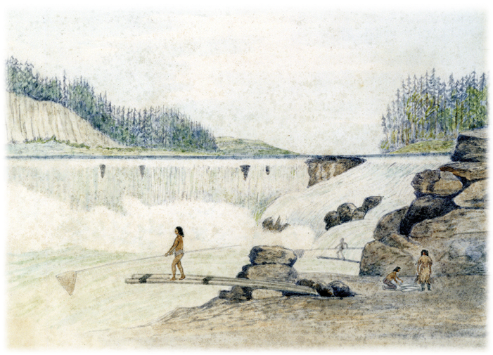 Indians Fishing At Willamette Falls Near Oregon City - Flti Transparent PNG - 790x515 - Free Download on - Fish Transparent PNG Free Download