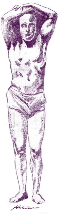 Affordable Weird News Campfire Stories Tall Tales Mermaids - Sketch Transparent PNG - 204x720 - Free Download on - Fish Transparent PNG Free Download